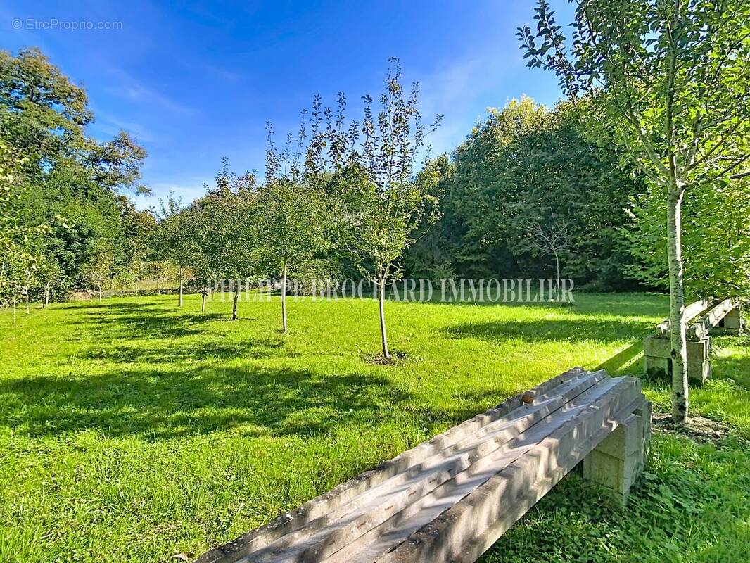 Terrain à MAREUIL-SUR-LAY-DISSAIS