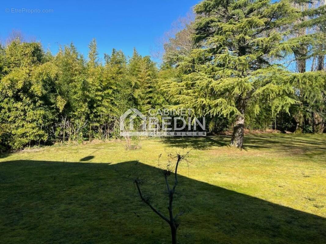 Terrain à BISCARROSSE