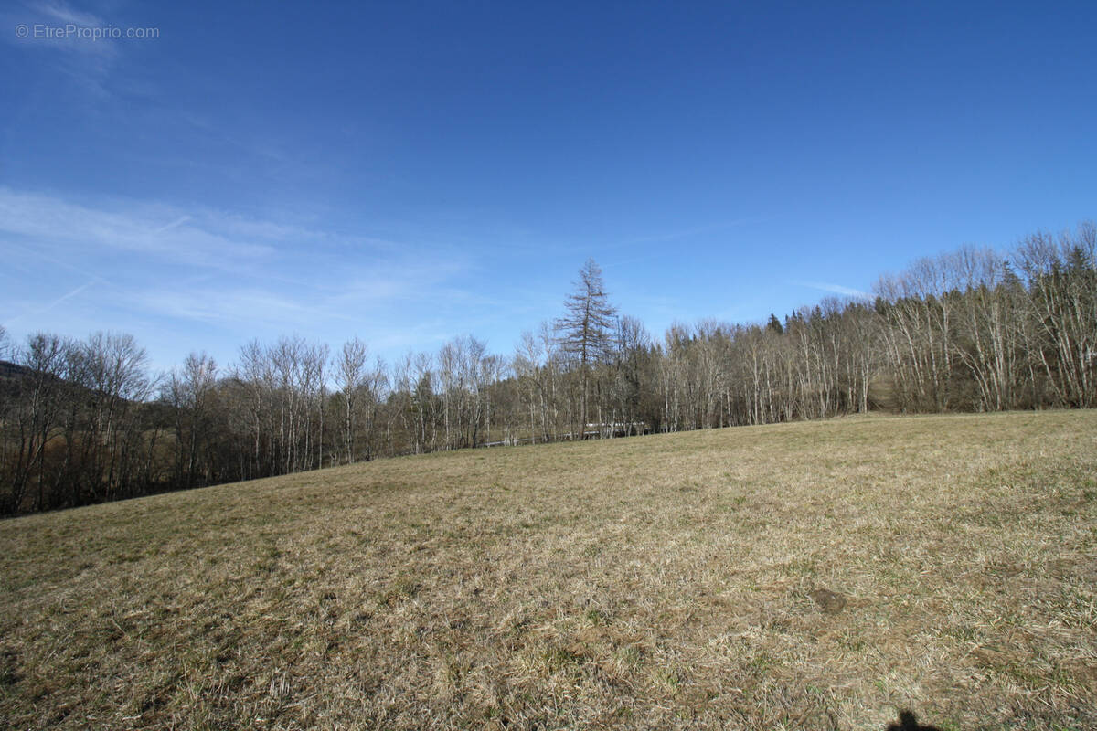 Terrain à GAP