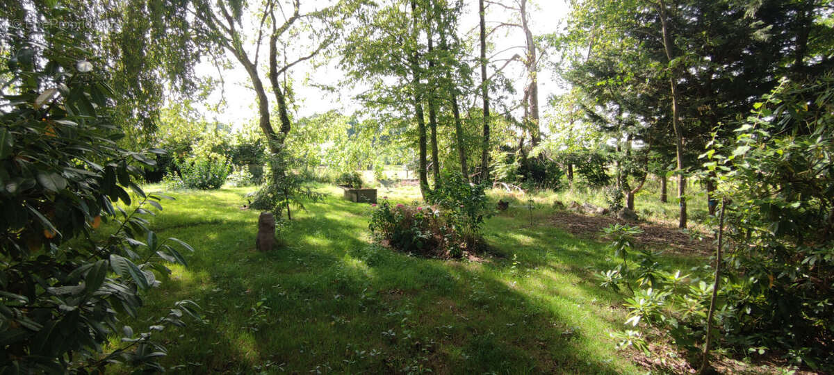 Maison Ercé-prés-Liffré + 2 Logements en location. - photo 11