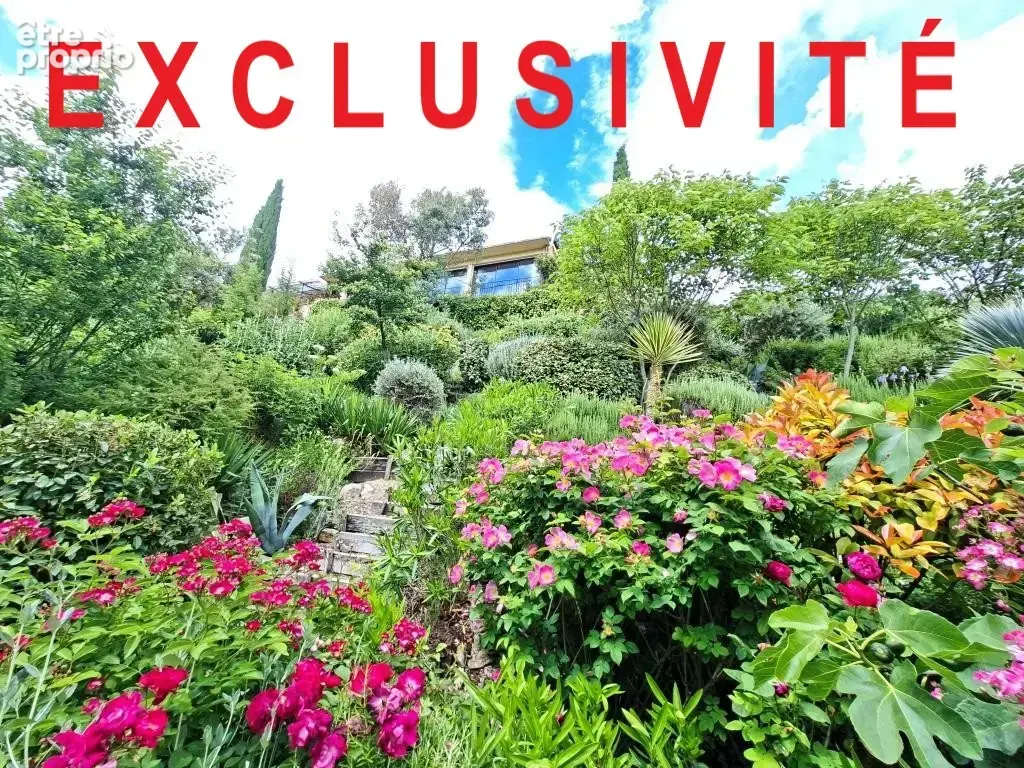Exclusivité - photo 3