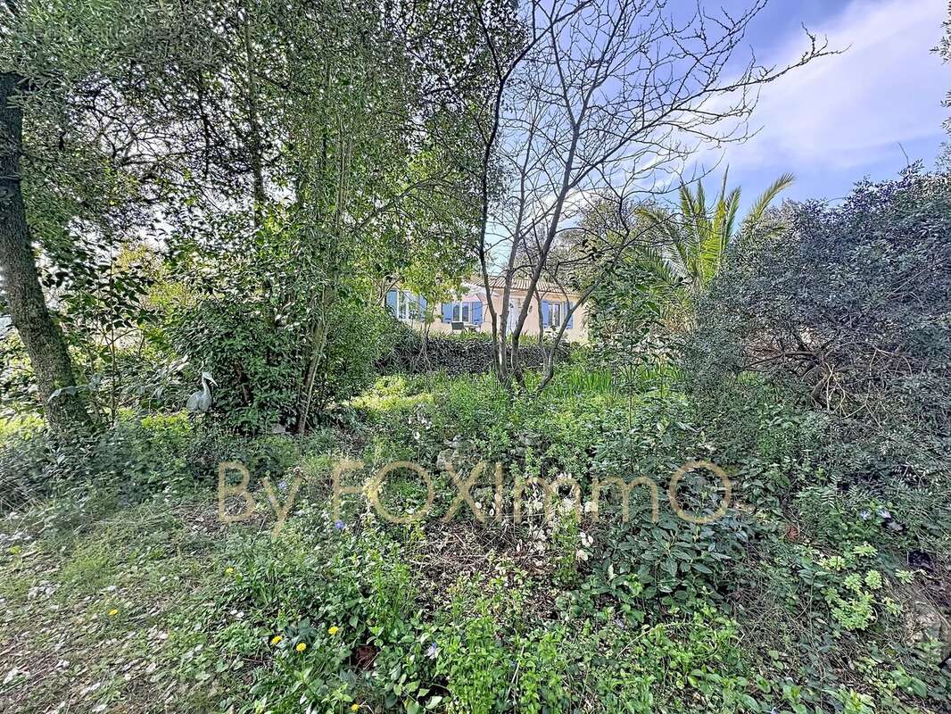 Maison à ROQUEFORT-LES-PINS