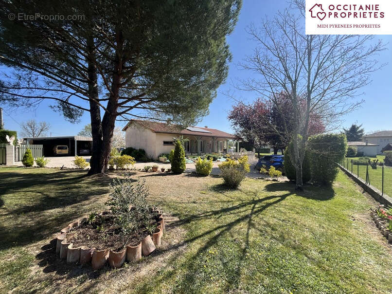 Maison à L&#039;ISLE-EN-DODON