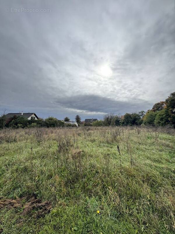 Terrain à VOLGELSHEIM