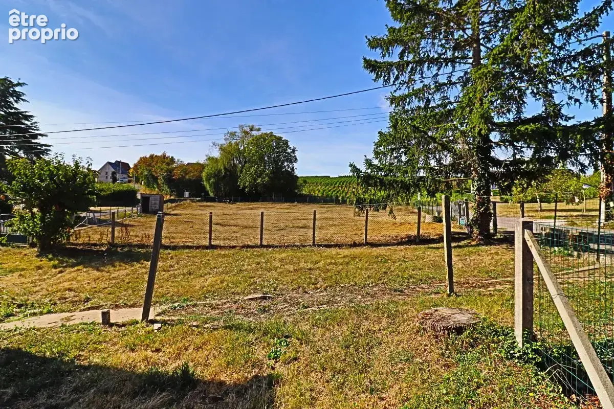 Ensemble immobilier de charme avec gîte, appartement et dépendances – 5 minutes de Sancerre - photo 14