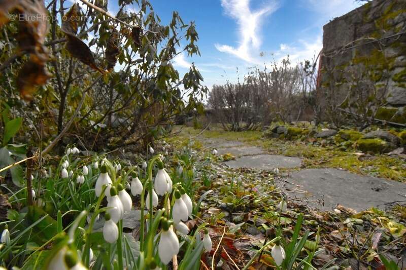 Maison à SAINT-AGREVE