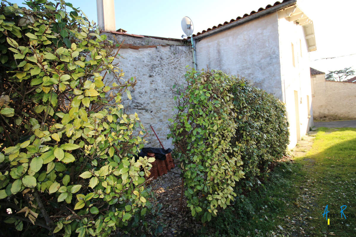 Centre ville meschers-sur-gironde - photo 2