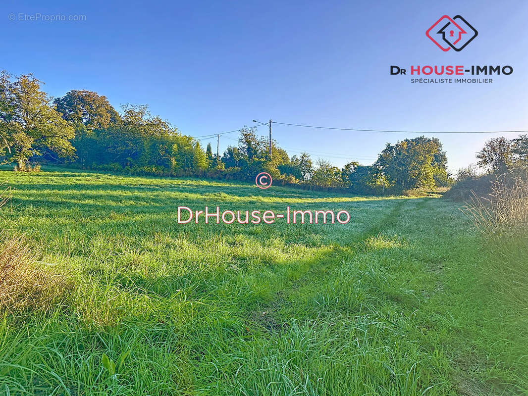 Terrain à SAVIGNAC-LES-EGLISES