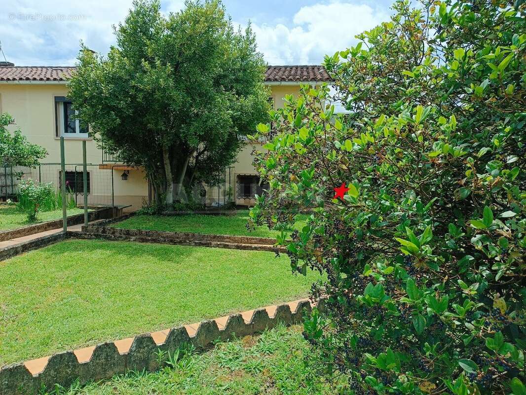 Castres - maison avec jardin - photo 8