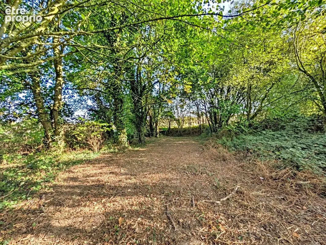 Maison à rénover à Saint-Aubin-d'Aubigné - Grand terrain de 1600 m² - photo 14