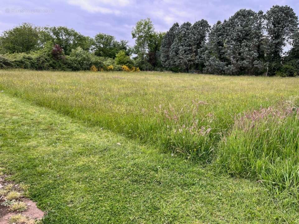 Terrain à BIARS-SUR-CERE