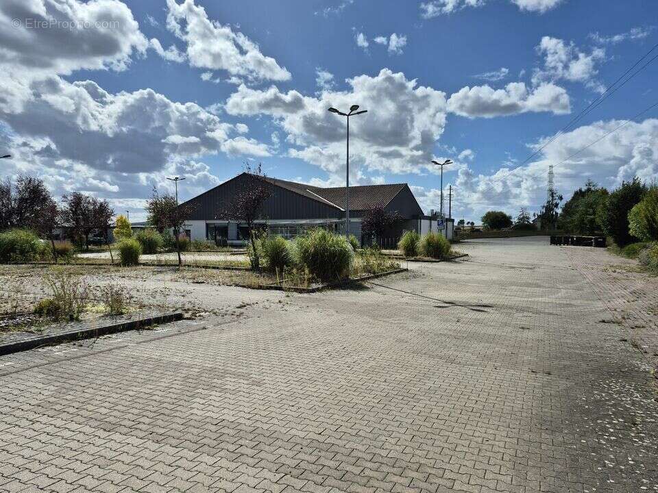 1050 m² à Pitres  - photo 3