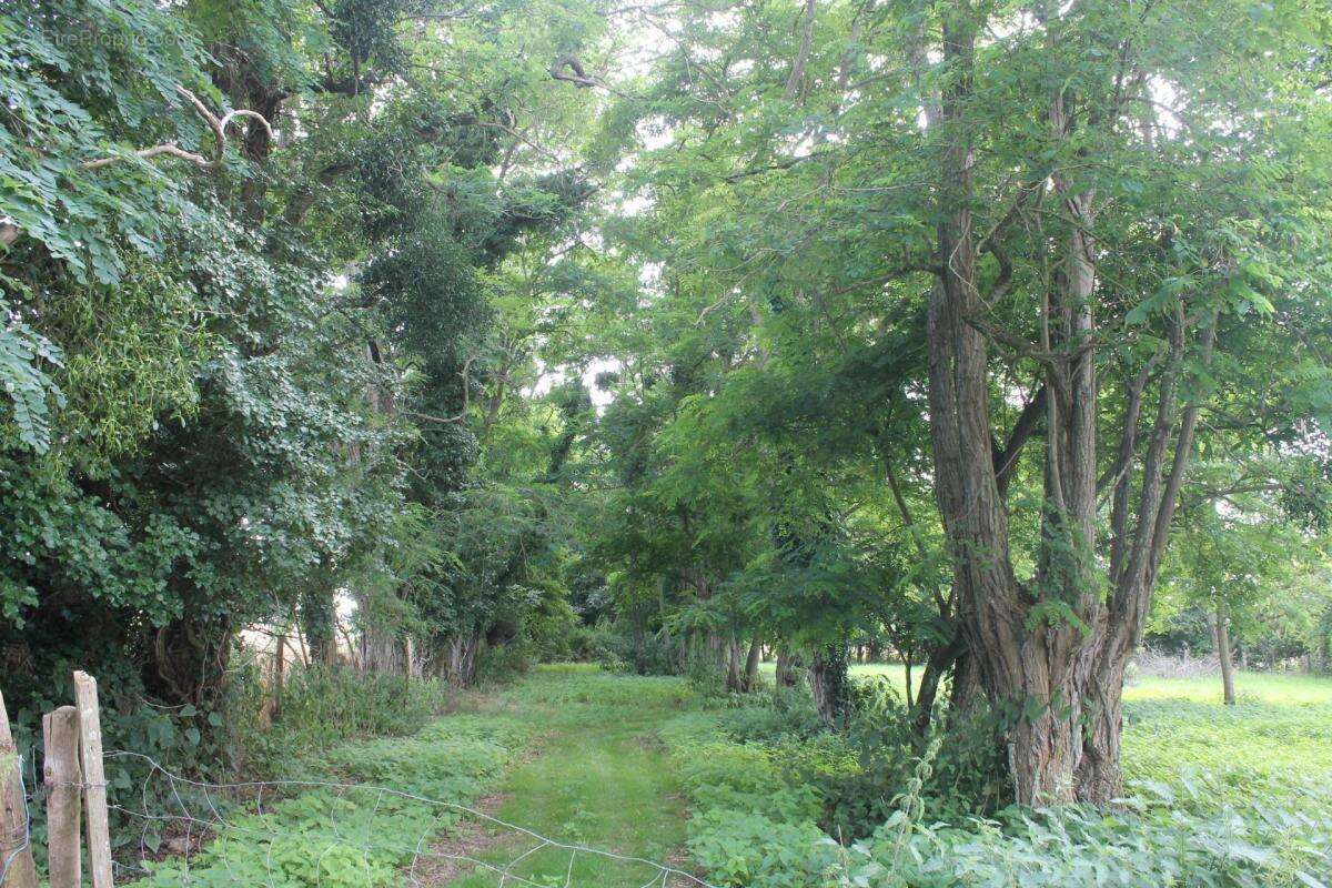 Maison à COULOMBIERS
