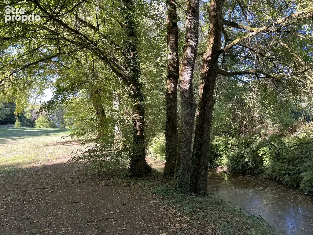 Propriété 9730 m2 : ancien moulin restauré avec garage, parc, sources, rivière - photo 12