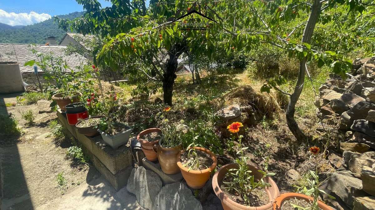 Maison 4 faces en pierre avec jardin - AYGUATÉBIA-TALAU - photo 40