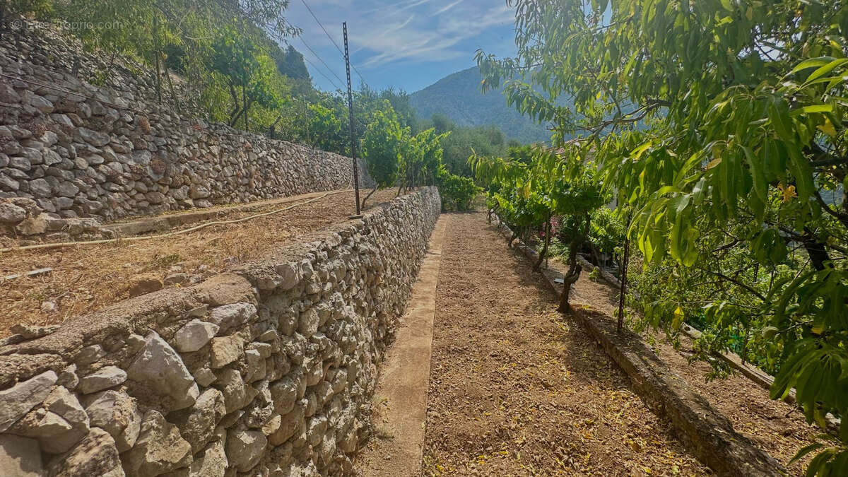 Peille Maison proche du village avec vue dégagée campagne - photo 3
