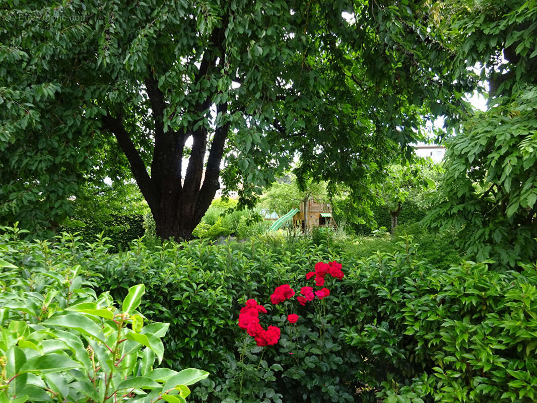 Maison Brunstatt Didenheim - photo 2
