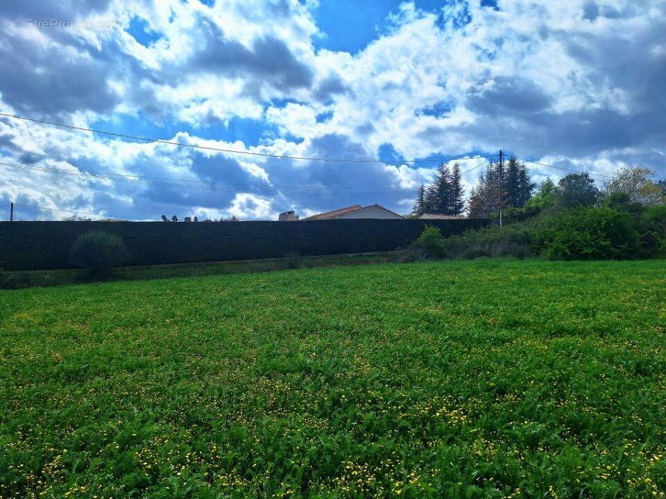 Terrain à VILLENEUVE