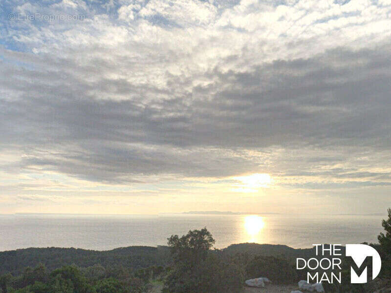 Terrain à BORMES-LES-MIMOSAS