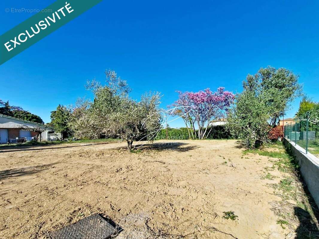 Photo 4 - Terrain à PUIMISSON