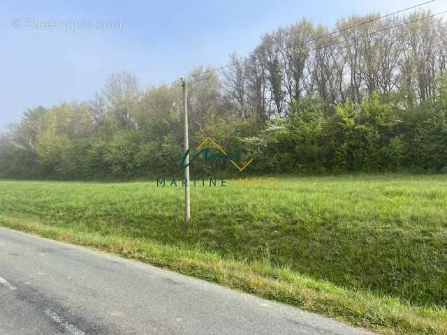 Terrain a vendre entre marmande et casteljaloux - photo 3