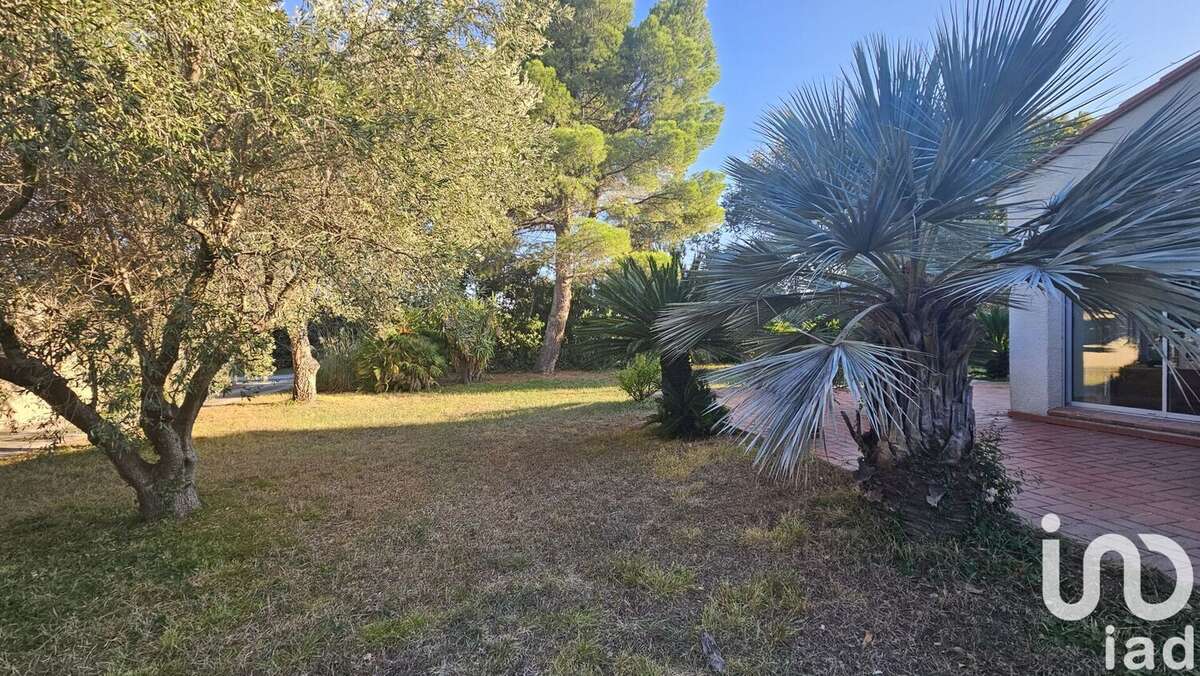 Photo 7 - Maison à MILLAS