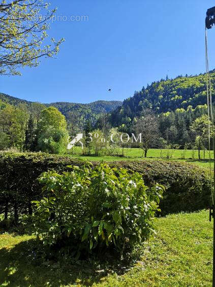 Maison à GERARDMER