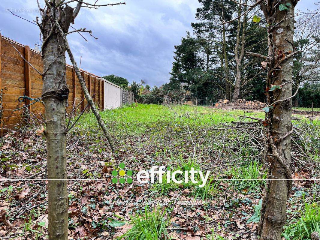 Terrain à SAINT-PHILBERT-DE-GRAND-LIEU