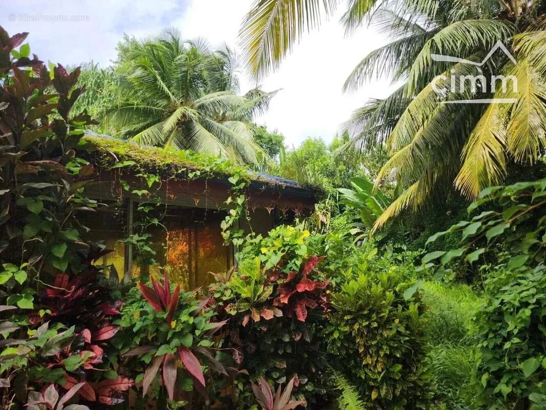 A vendre propriete deux batiments 8 pieces 304,26m² terrain 6595m² - photo 20