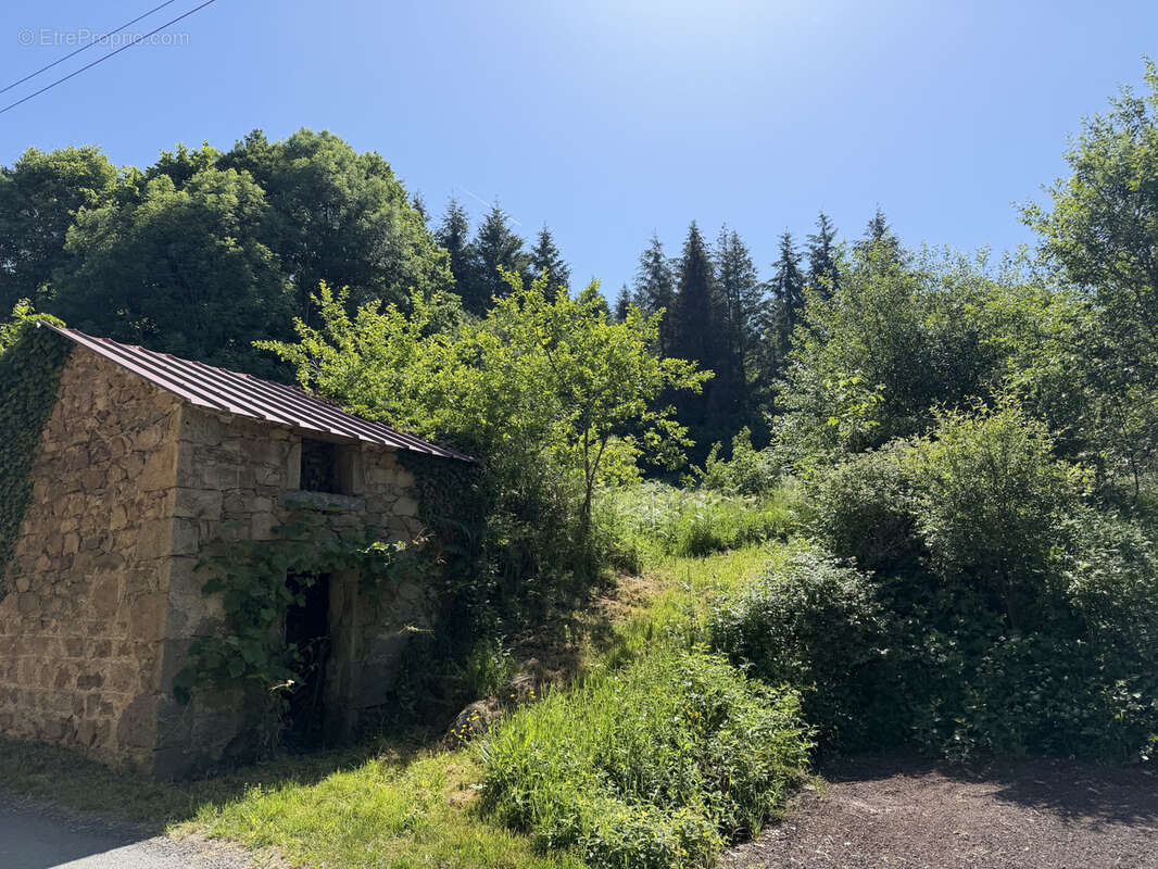 Maison à AUZELLES