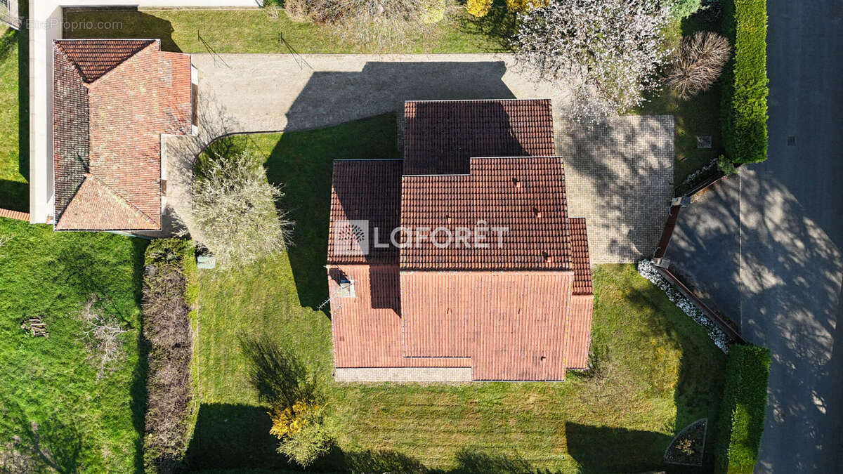 Maison à VILLARS-LES-DOMBES