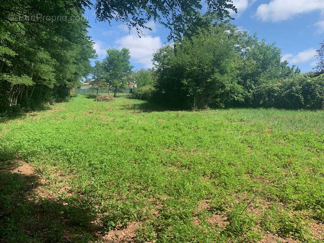 Terrain à SAINT-THOMAS-DE-CONAC