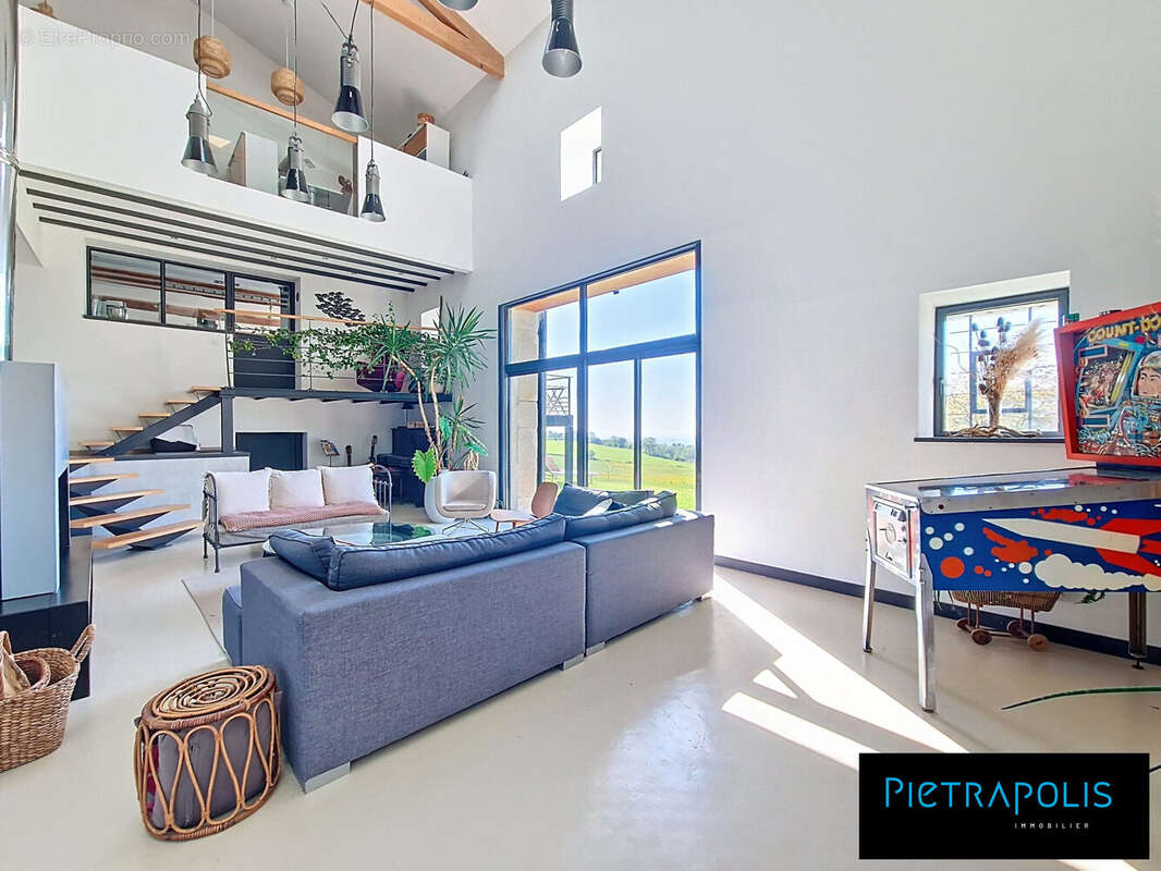 Maison 375 m² à Larajasse  - photo 7