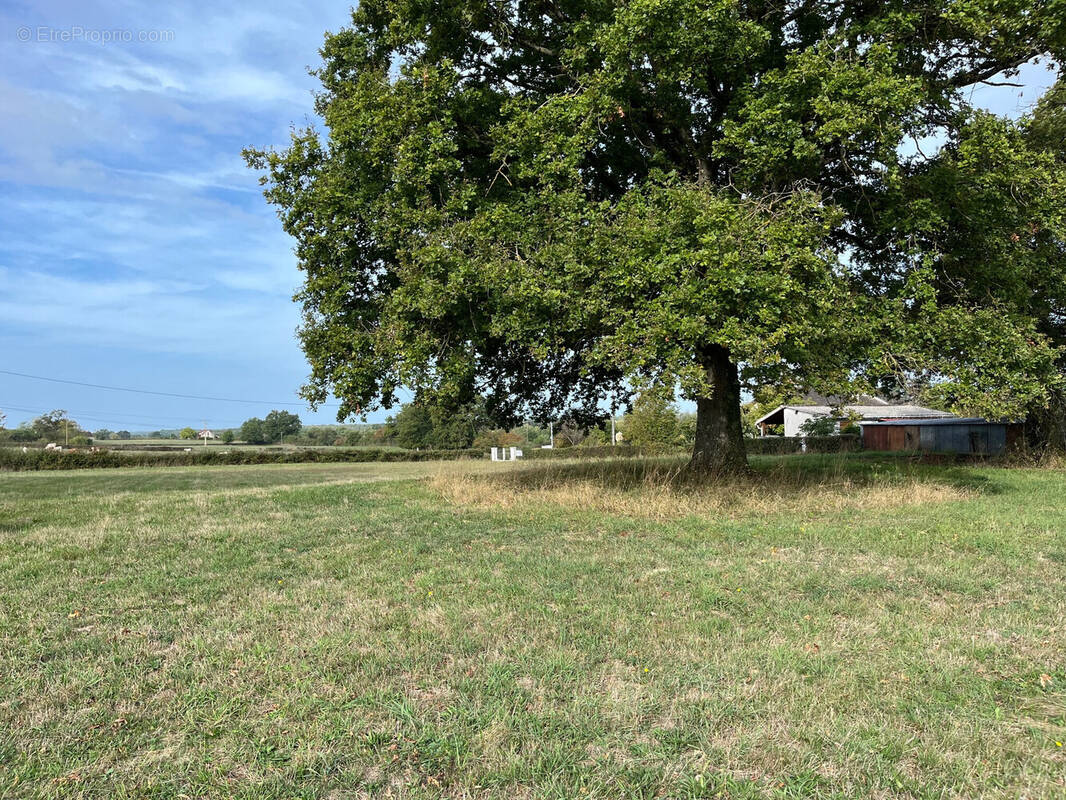 Terrain à LA NOCLE-MAULAIX