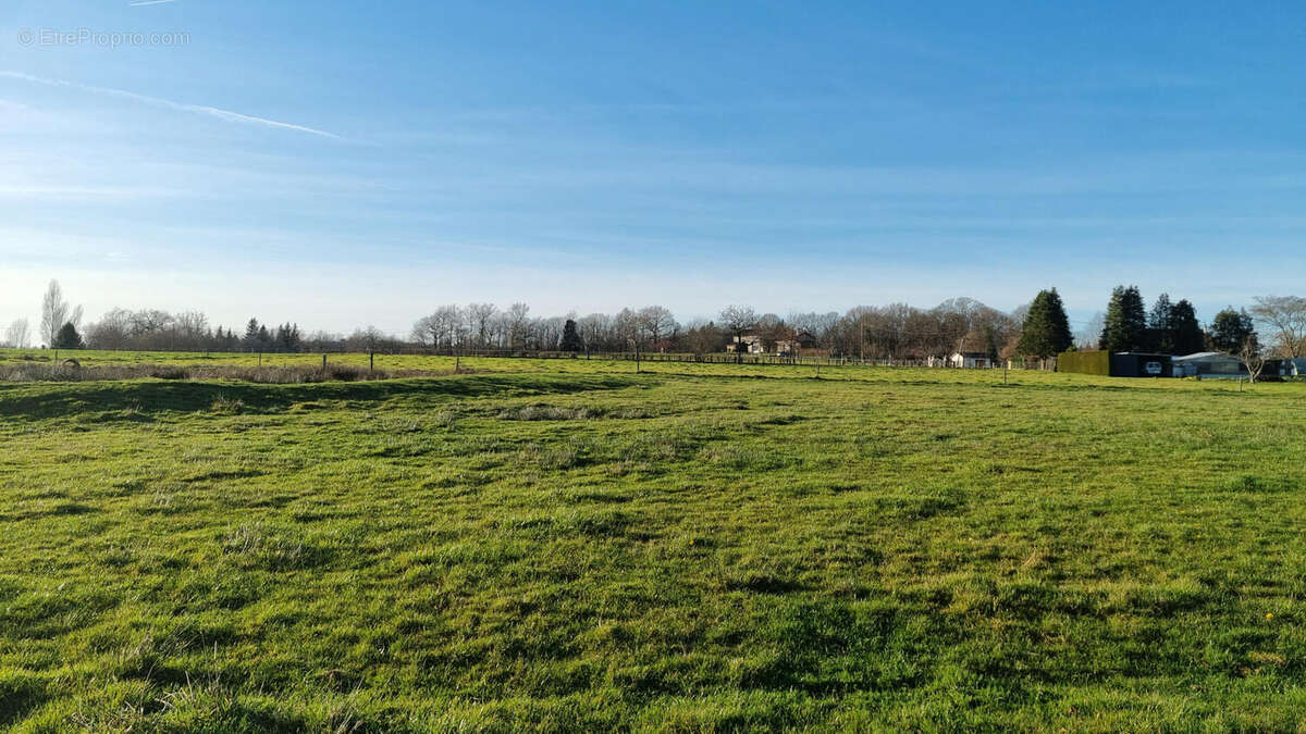 20251218_153411 - Maison à PIEGUT-PLUVIERS