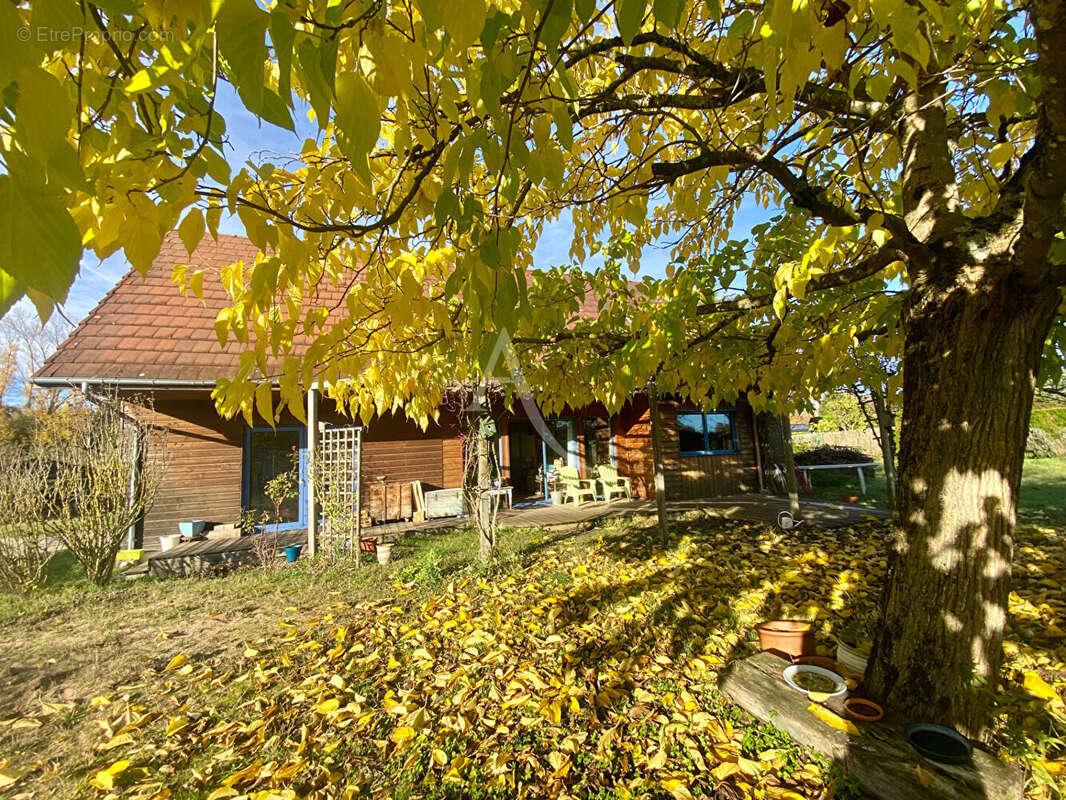 Maison à CONTRES