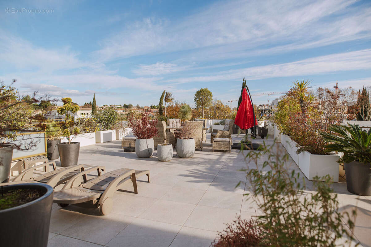 Appartement à SAINT-JEAN-DE-VEDAS