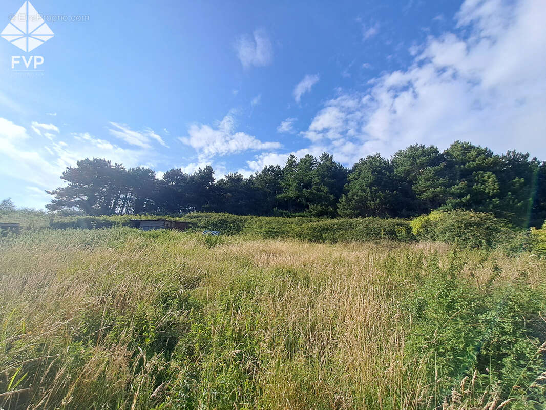 A VENDRE - SAINT-VALERY-EN-CAUX (76460) - 3 chambres - Terrain 4 400m2 - photo 3