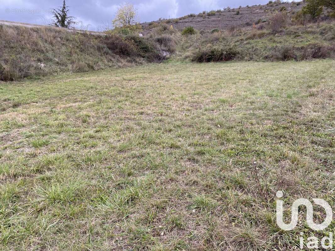 Photo 3 - Terrain à SAINT-ROME-DE-TARN