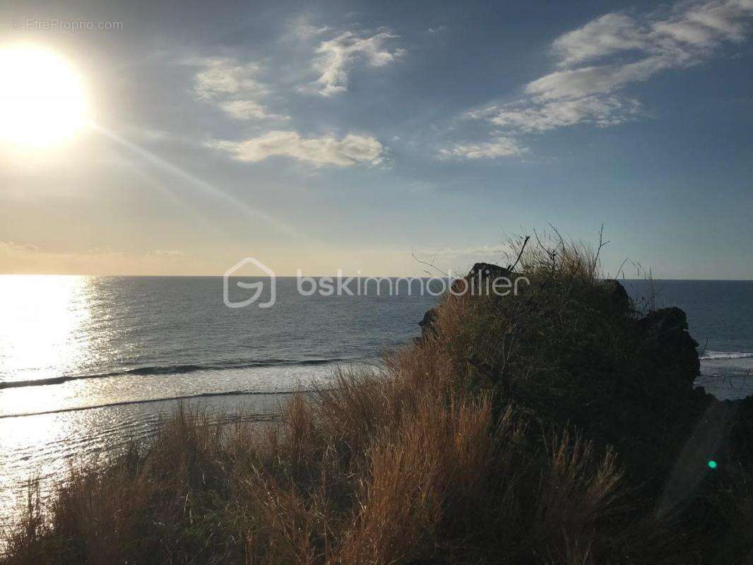 Villa à Saint Gilles les Bains (Boucan Canot) - photo 16