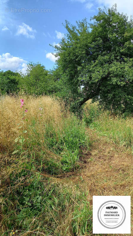 Terrain à ROMANS-SUR-ISERE