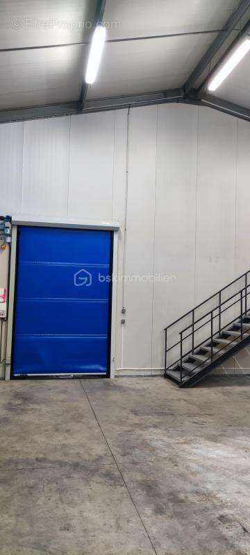 Commerce à VILLEMUR-SUR-TARN