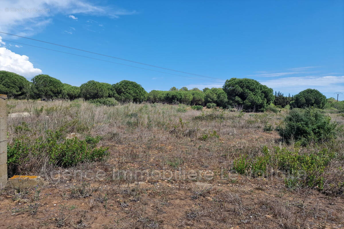 Terrain à SERIGNAN
