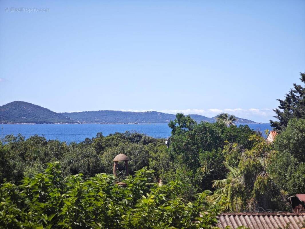 Photo 1 - Maison à PIETROSELLA