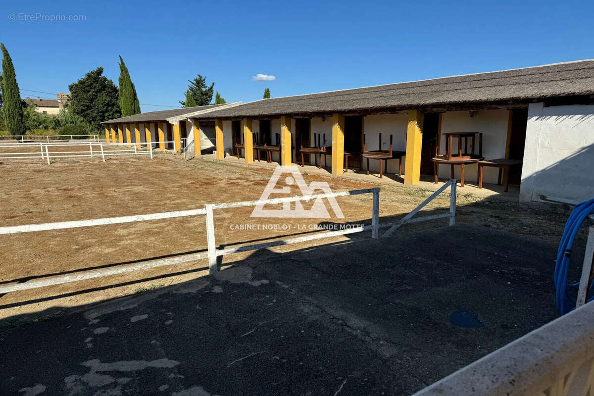 Terrain à SAINT-LAURENT-D&#039;AIGOUZE