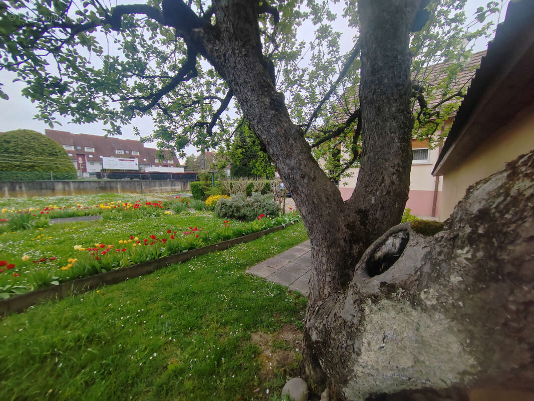Maison de caractère au cœur des Trois Frontières   Blotzheim - photo 10