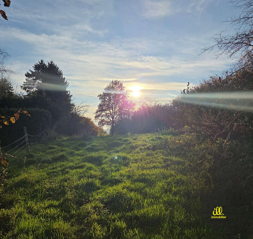 Terrain à MESSINCOURT