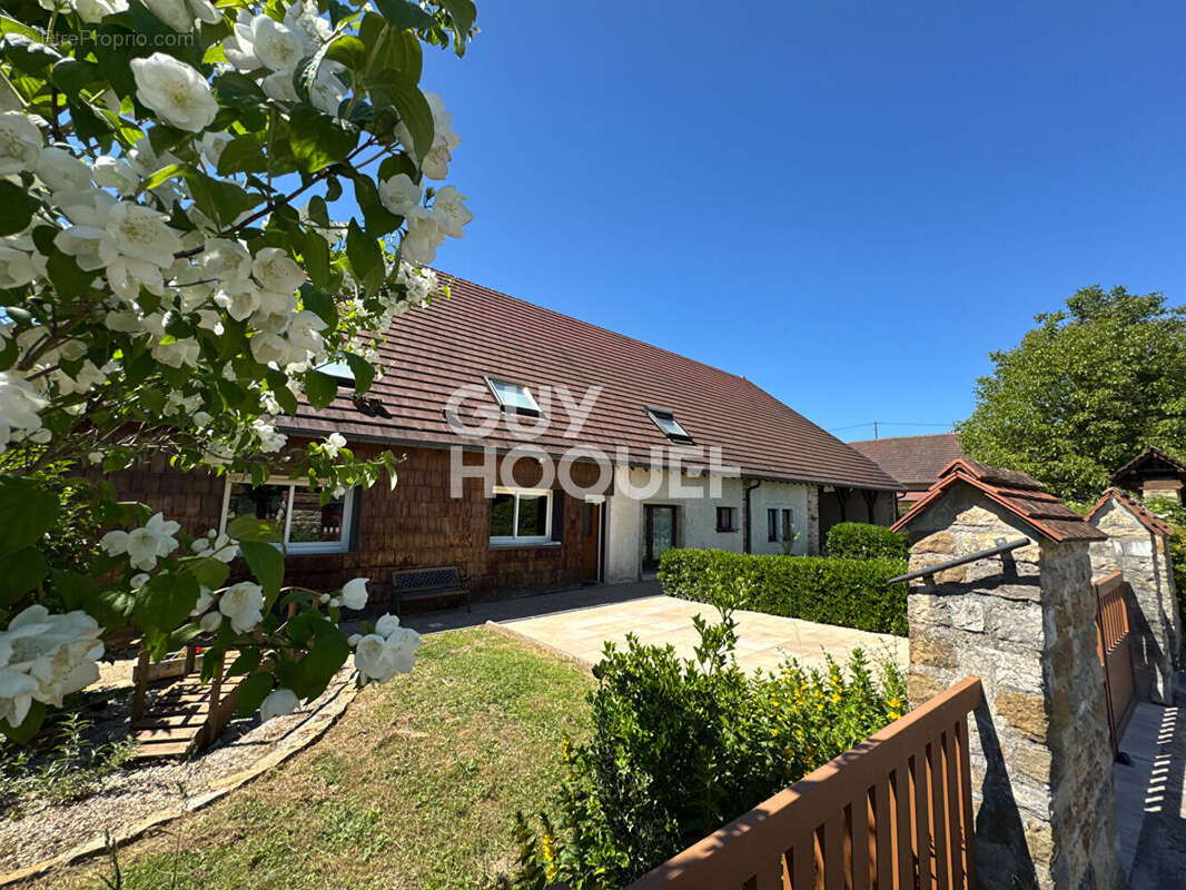 Maison et gite Oussieres 9 chambres - photo 4