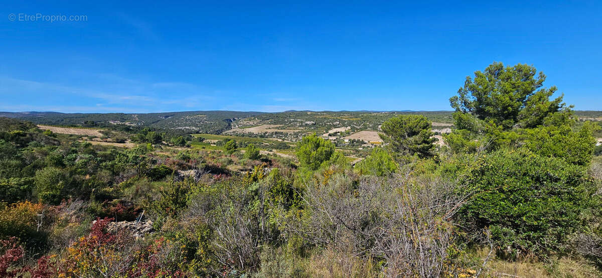 Terrain à LA CAUNETTE