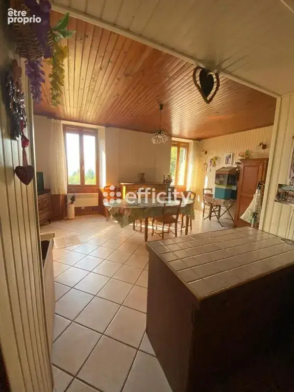 Maison 13 pièces 236 m² à vendre à Saint-Laurent-Du-Pont (38380) - photo 12